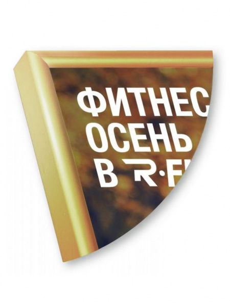 Рамка Нельсон 02, А2,  золото глянец анодир. в Чебоксарах - картинка, изображение, фото